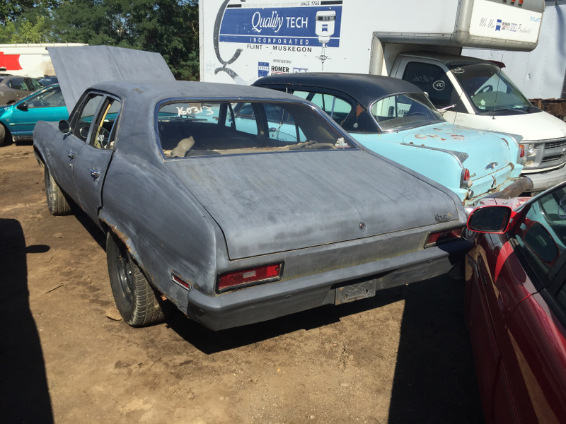 Back of Nova